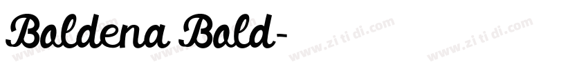Boldena Bold字体转换